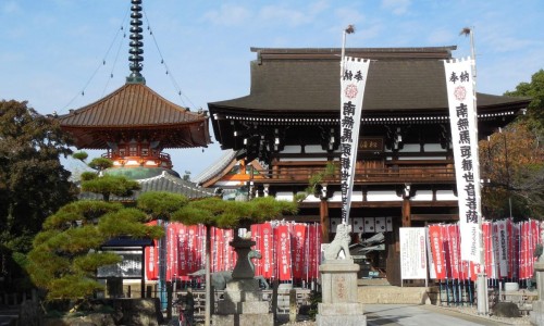 原神安-元神安片功效网 - 安神丸的功效与副作用,元神安颗粒